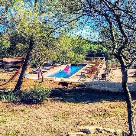 Arche De Noe Atypique, Boheme , Nature, Piscine Chauffee De Paques A Toussaint , Spa , Sauna , Loisirs Le Beausset Eksteriør billede