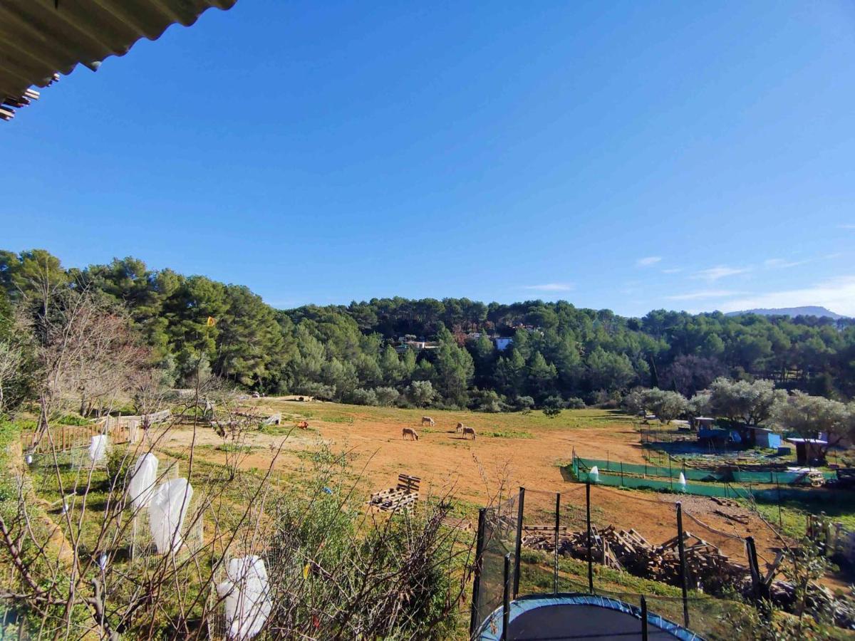 Arche De Noe Atypique, Boheme , Nature, Piscine Chauffee De Paques A Toussaint , Spa , Sauna , Loisirs Le Beausset Eksteriør billede