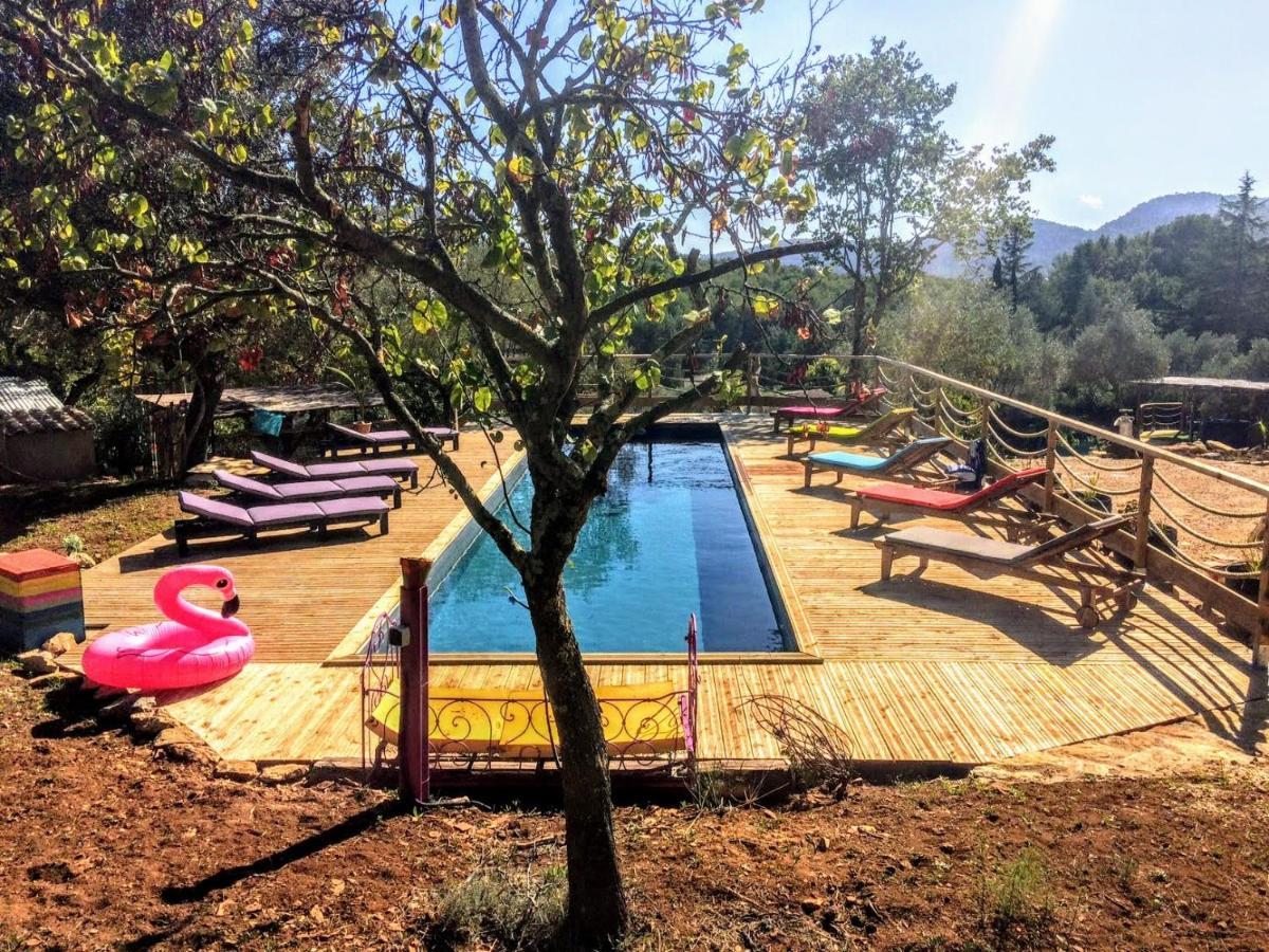 Arche De Noe Atypique, Boheme , Nature, Piscine Chauffee De Paques A Toussaint , Spa , Sauna , Loisirs Le Beausset Eksteriør billede