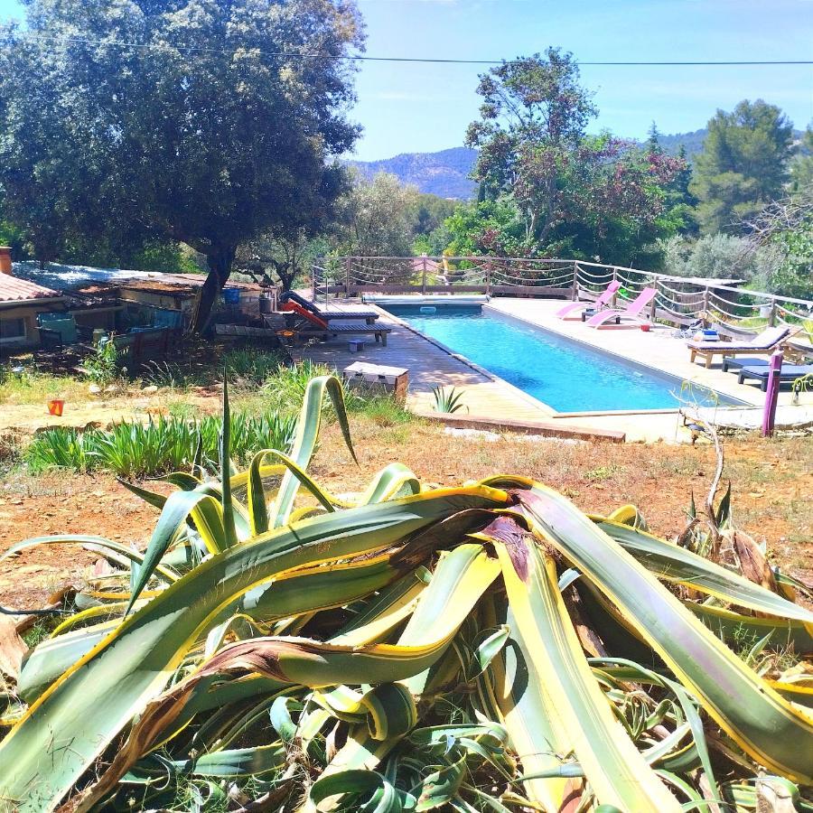 Arche De Noe Atypique, Boheme , Nature, Piscine Chauffee De Paques A Toussaint , Spa , Sauna , Loisirs Le Beausset Eksteriør billede